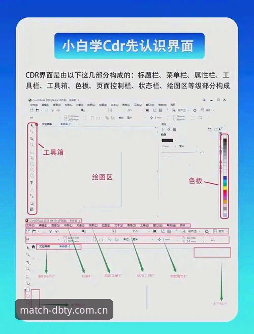 多宝体育官方网站下载必备指南：从零开始的完整操作手册